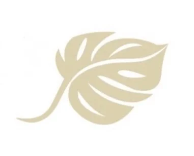 Catherine Eccles Counseling