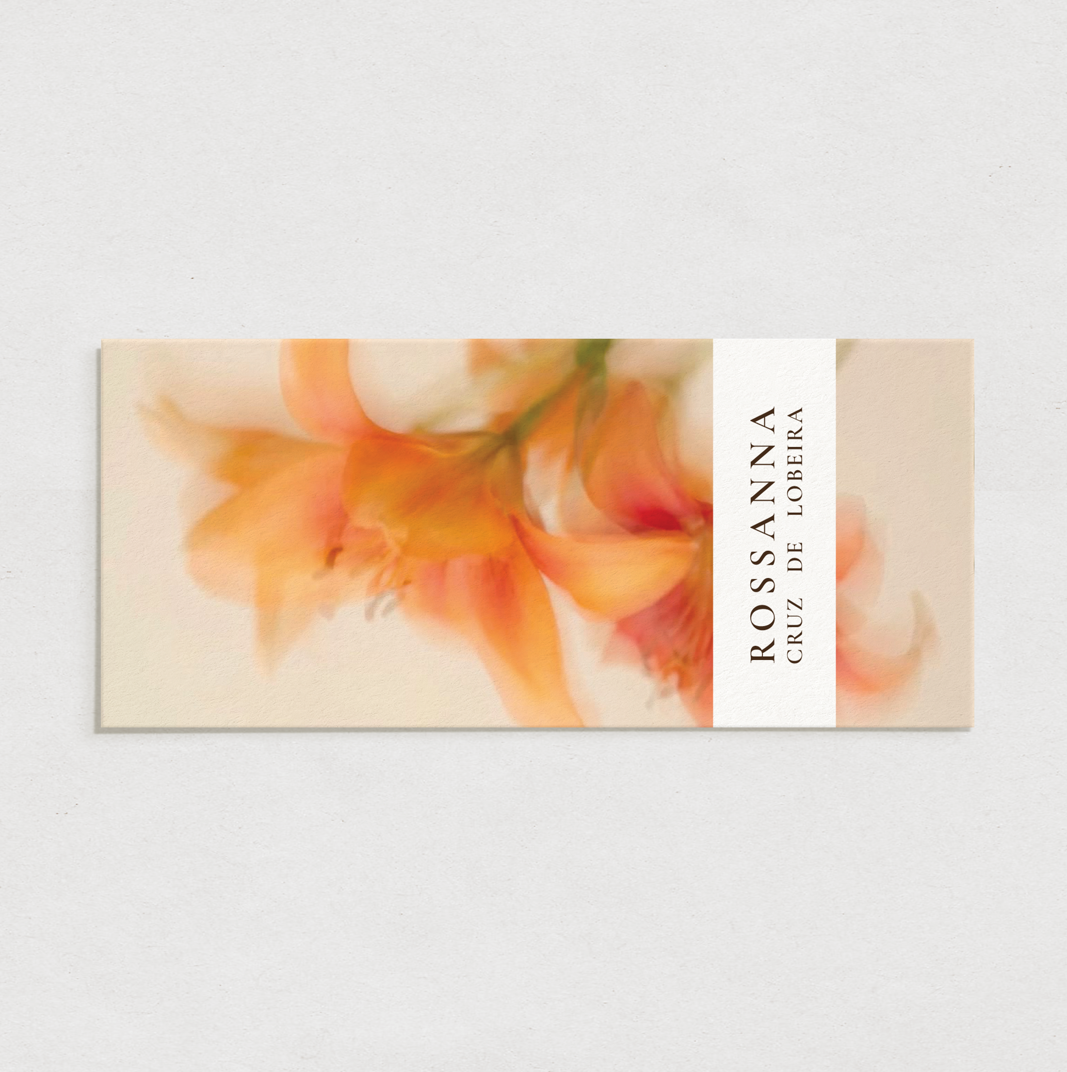 Moneyholder Mockup 2-Recovered.png