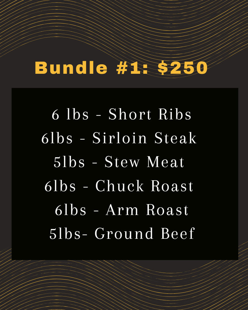 Bundle+1.png