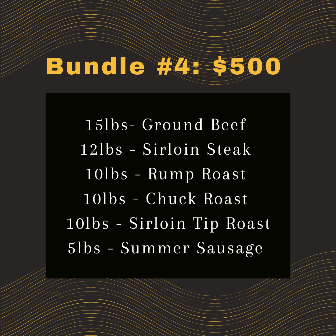 bundle 4.png