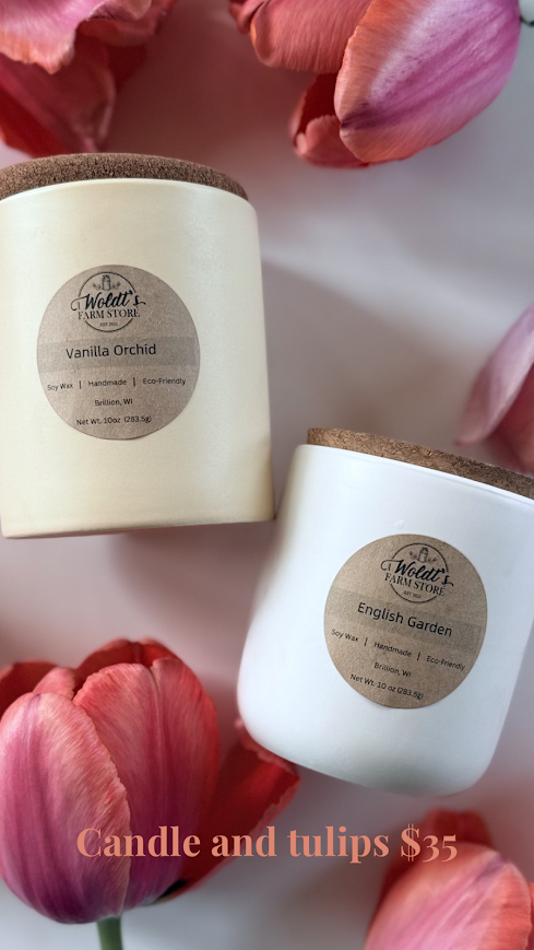 Candle and Tulips.png
