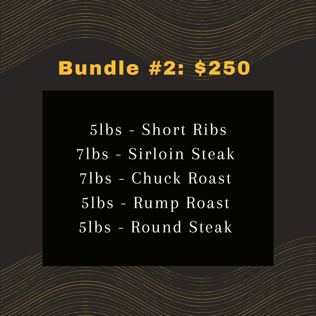bundle 2.png