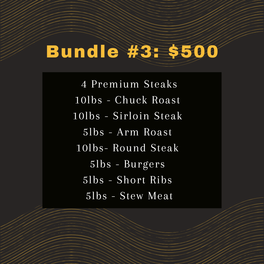 bundle 3.png