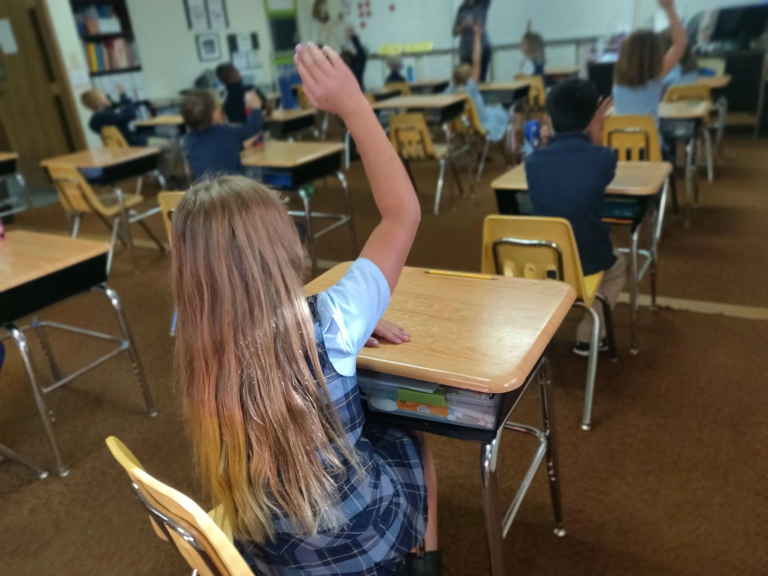 Elementary Class Placement