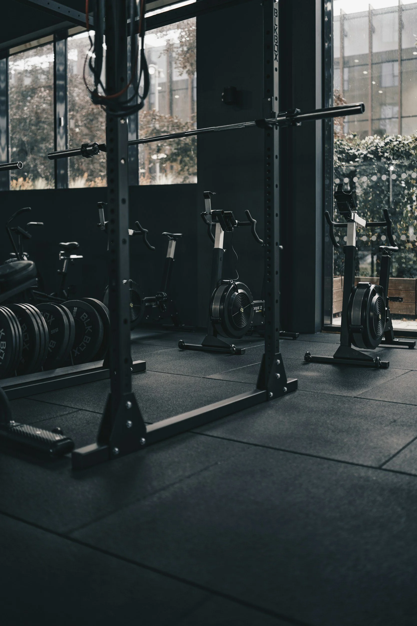 Indoor gym with rowing machines and weight plates, large windows showing outdoor trees and buildings.