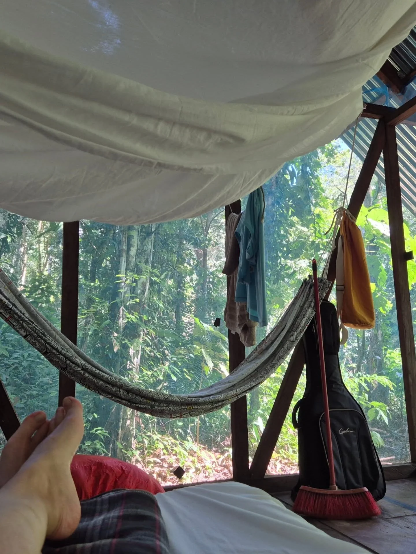 Tambocito 💚
#junglelife #laselva