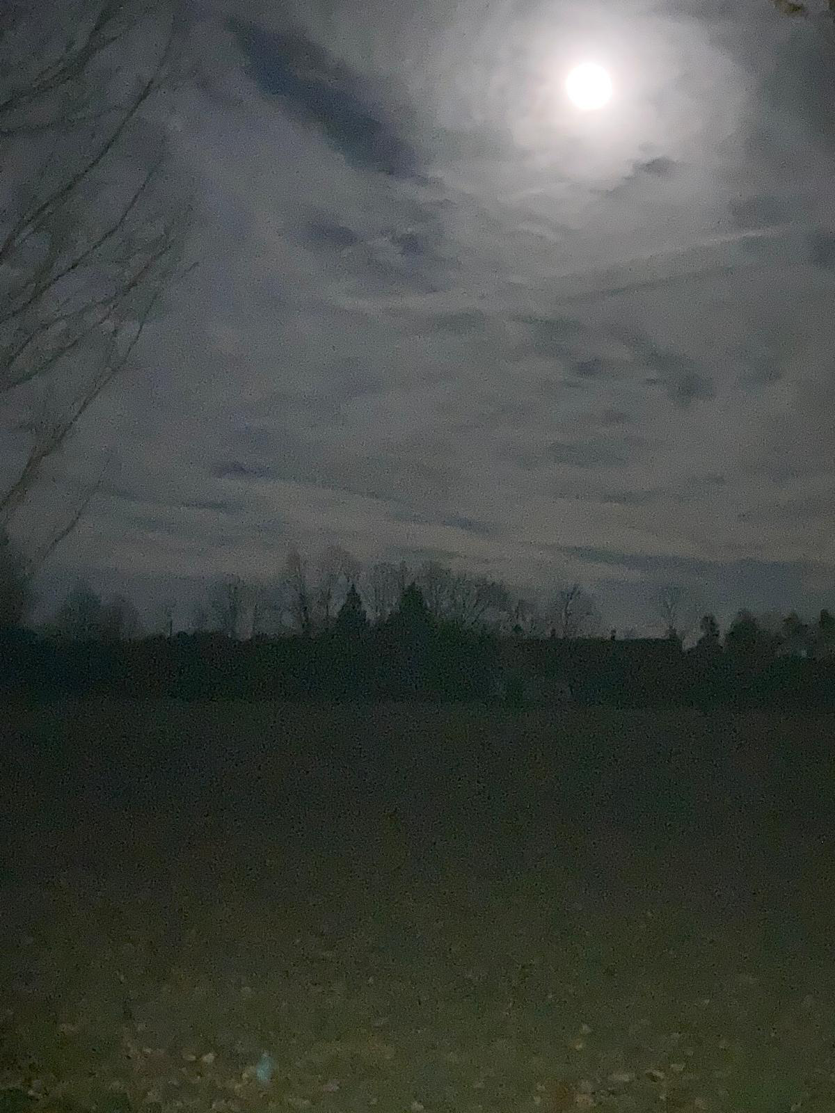 Full Moon 