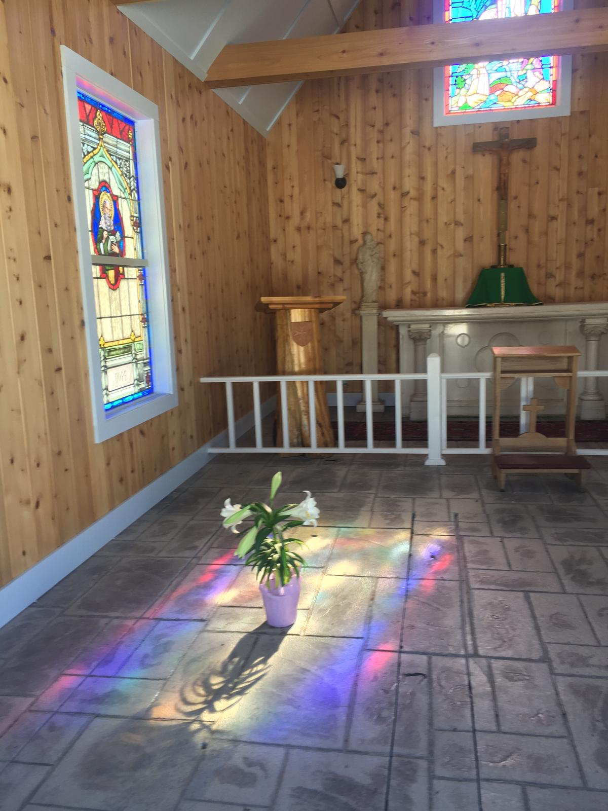 Morning light on Karen's grave
