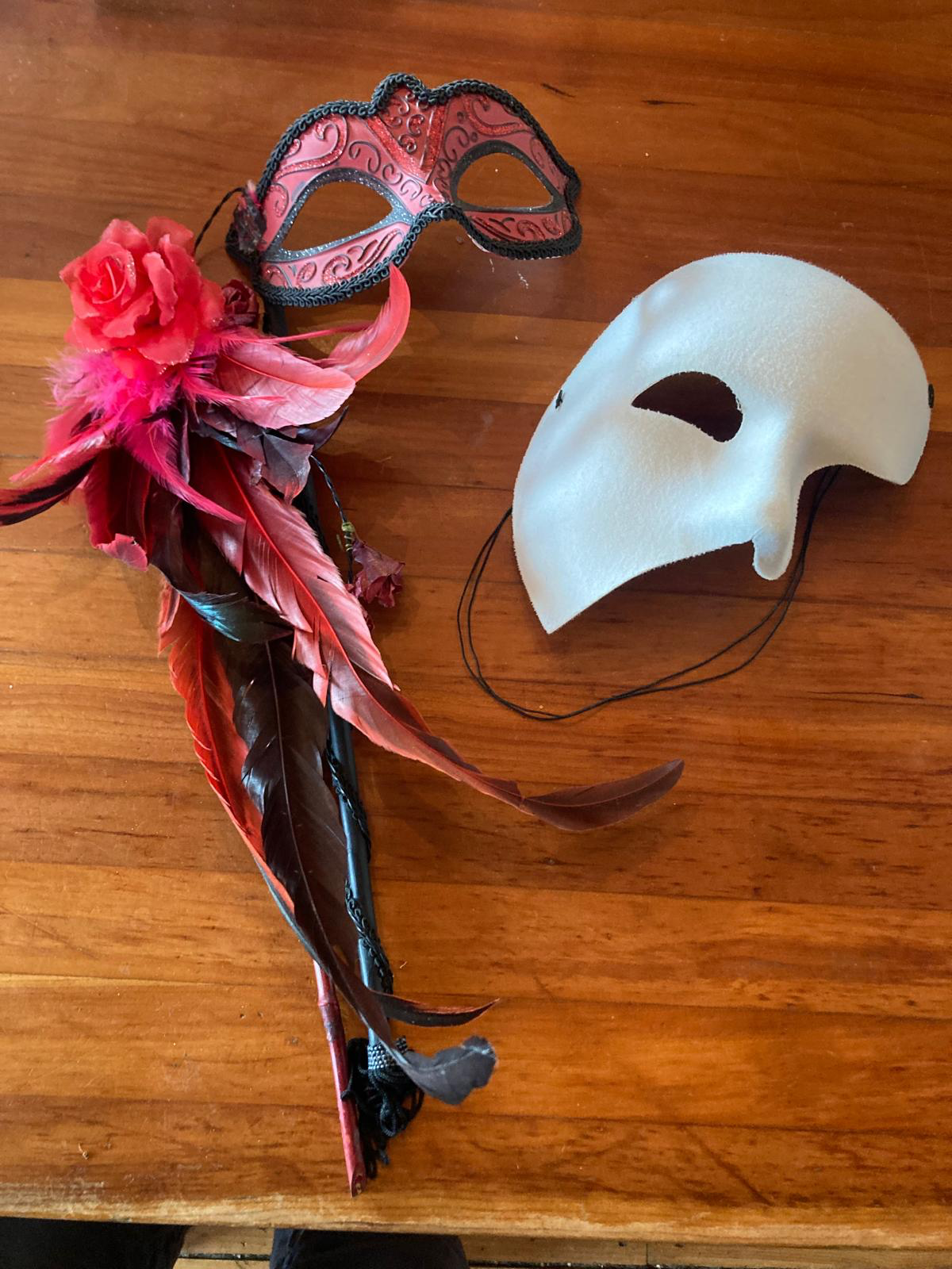 Masks worn to the Costume Ball at the AACPDM by Dr. D. and his First Lady, Karen