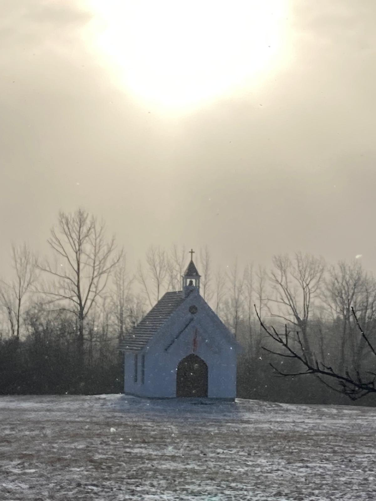 Frozen Morning