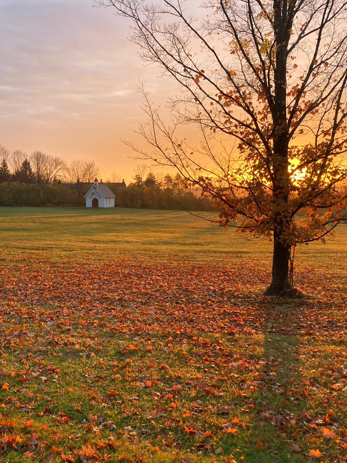 Autumn Morning