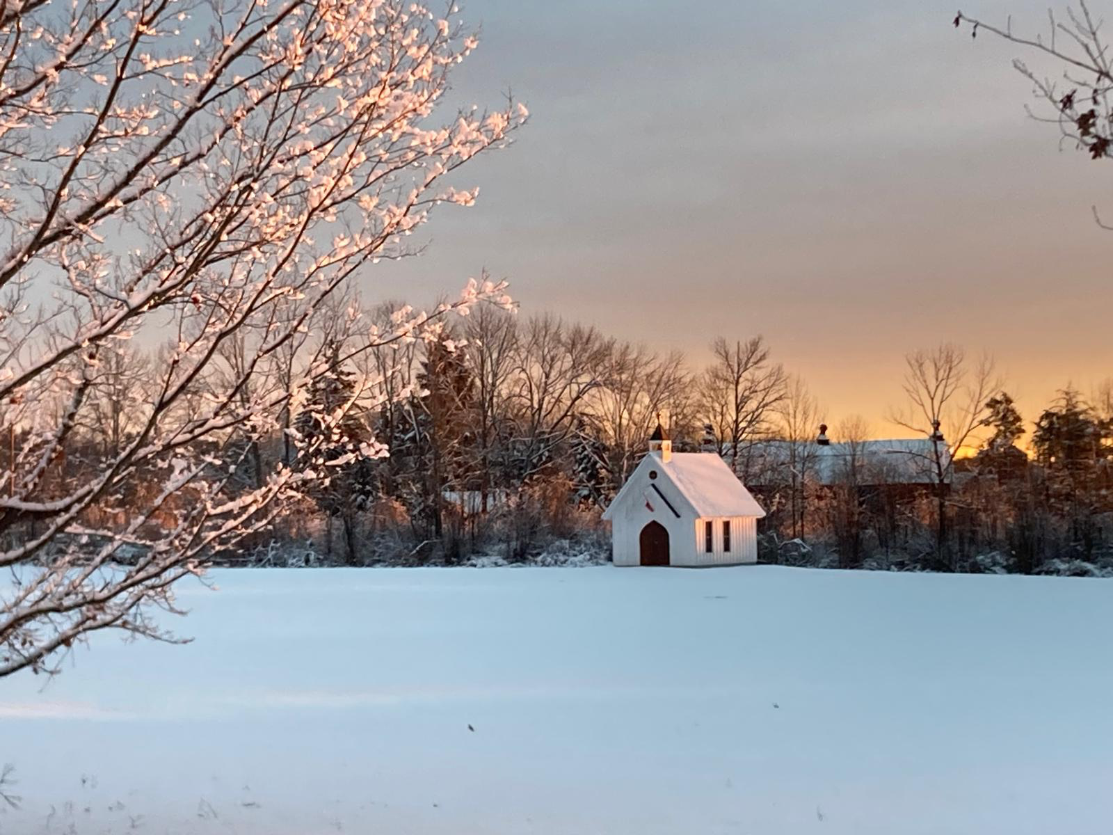 Fresh snowfall