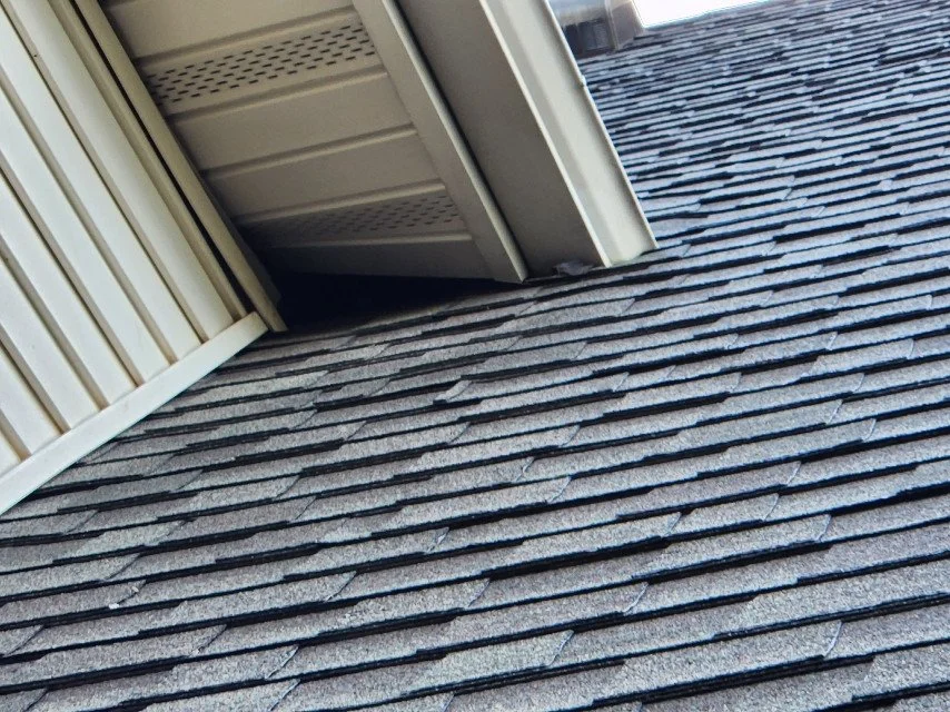 View of roof shingles and the lower part of a building side with siding, with part of a downspout visible.
