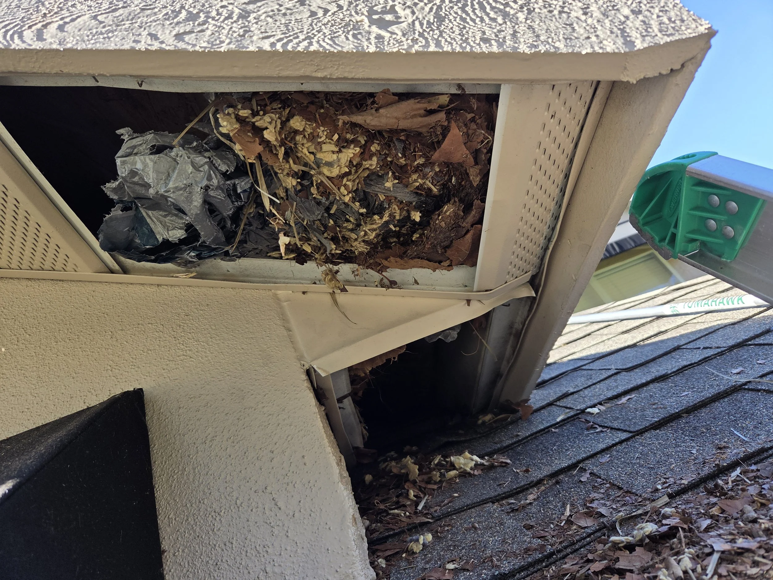 Squirrel nest in customers soffit, no babies