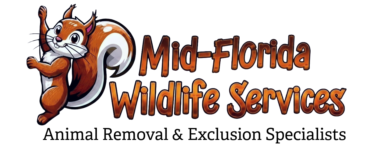 Logo for Mid-Florida Wildlife Services featuring a cartoon squirrel holding a nut and the company name in bold, stylized letters. Subtitle reads Animal Removal & Exclusion Specialists.