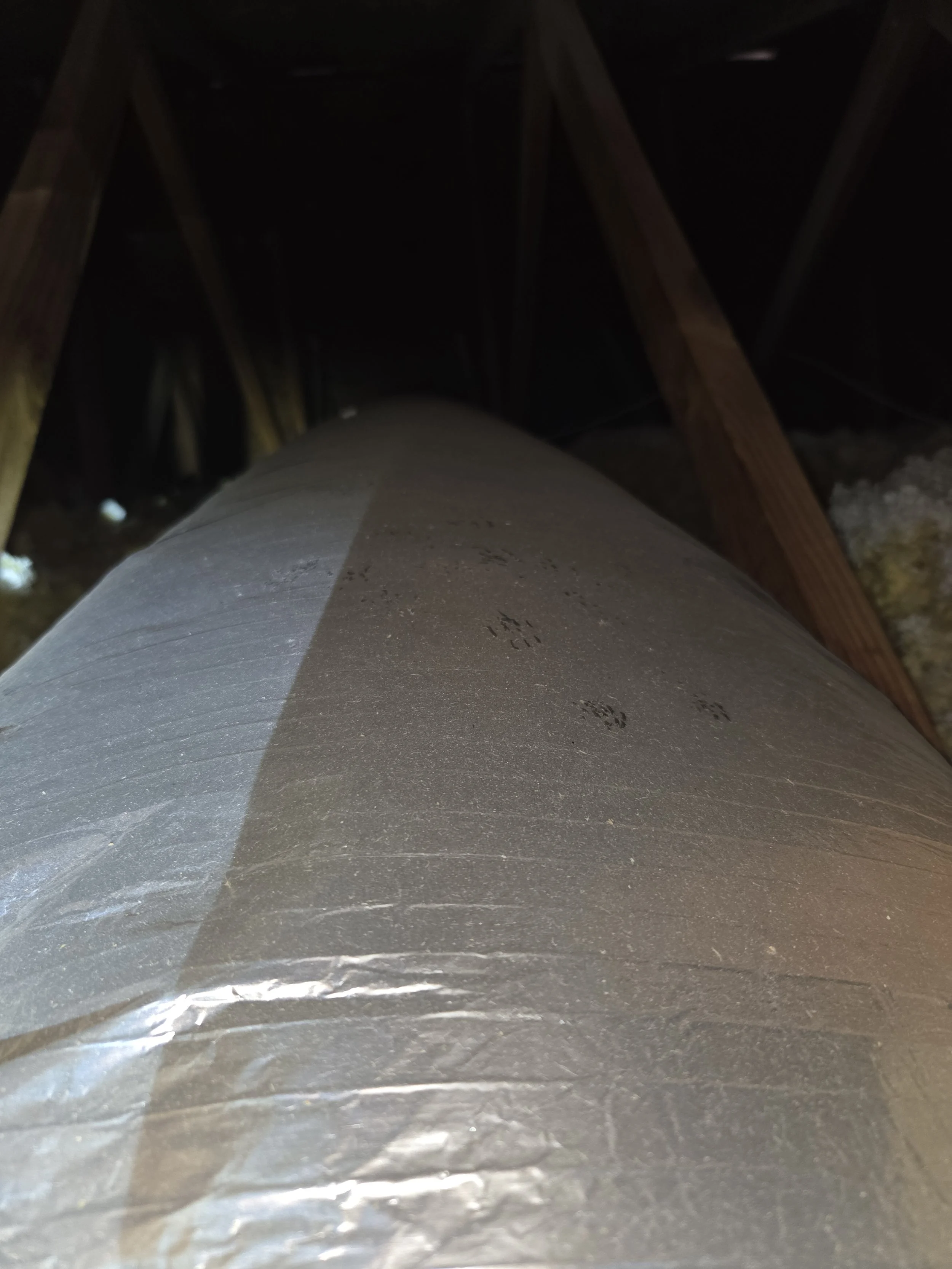 Animal feet print in the attic on the ac ducts