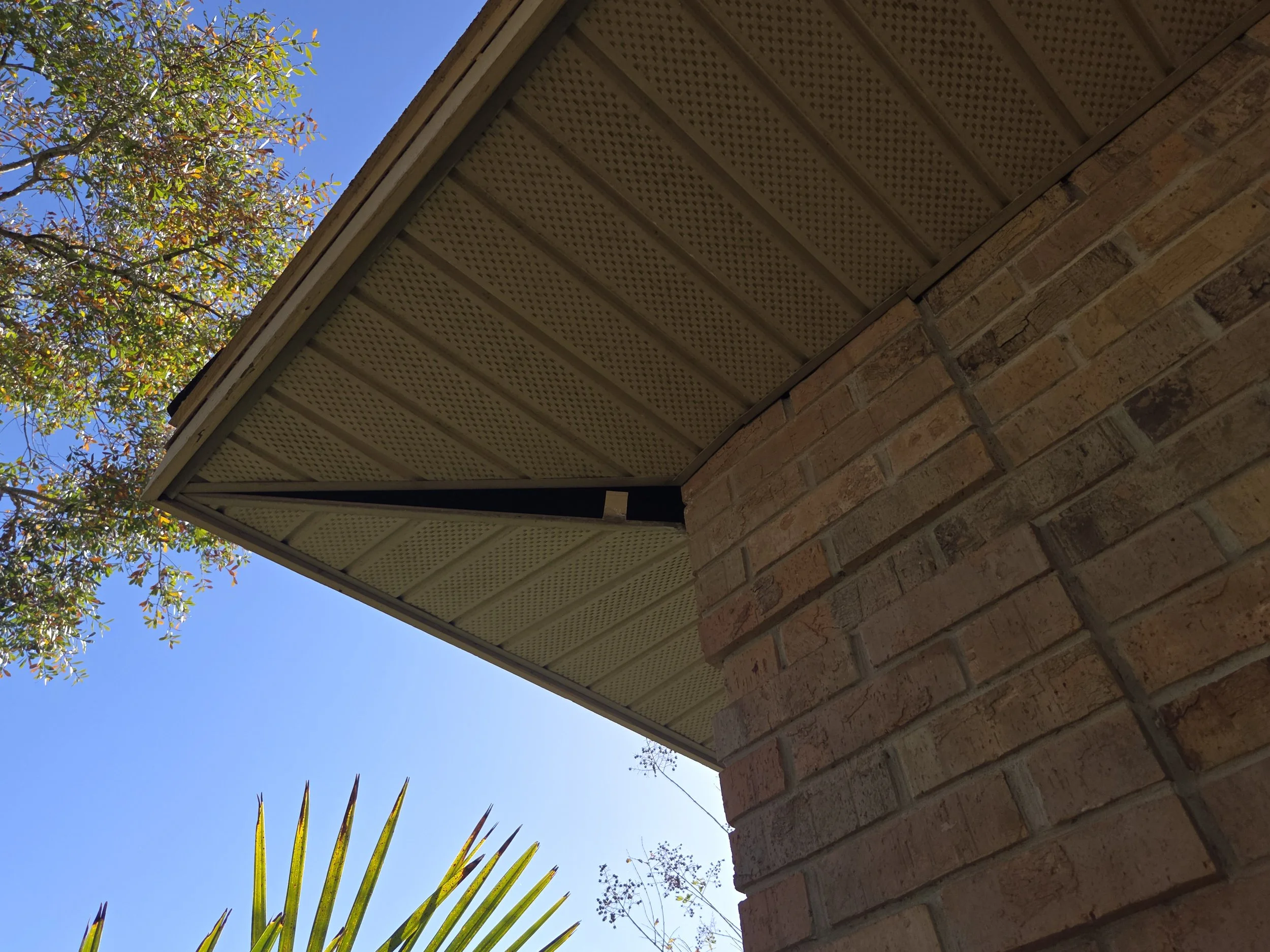Close-up of the corner of a house showing brick wall and attic vent, with green tree leaves and blue sky in the background along with some palm leaves.