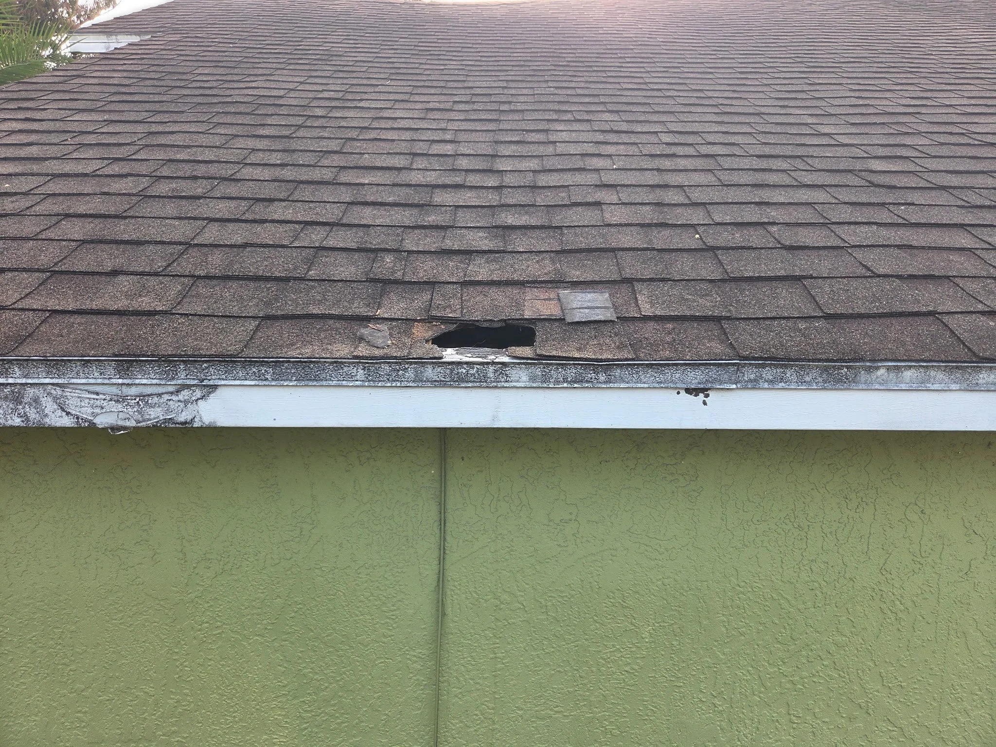 Hole can hide under the shingles, giving any animal an easy way into your attic