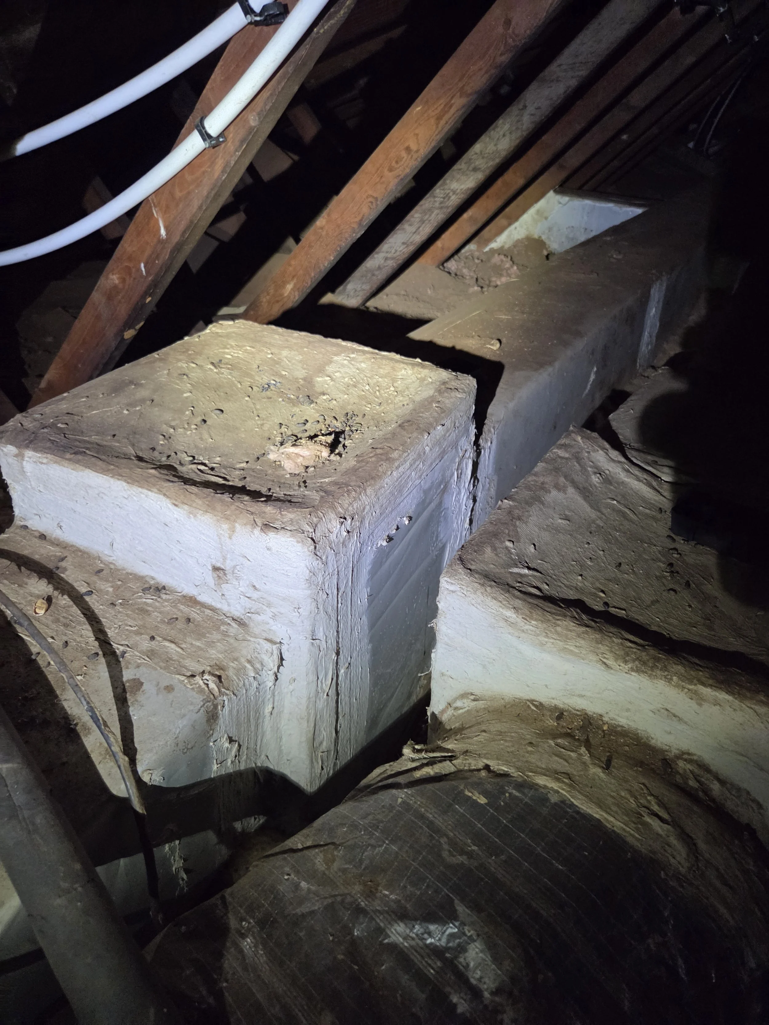 Lots of Rat Poop on the AC ducts