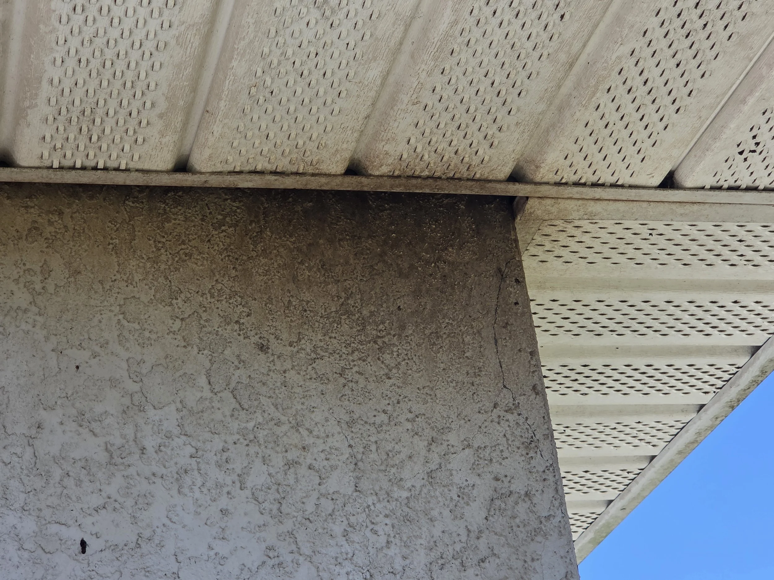 Bats Getting into Customer Soffit