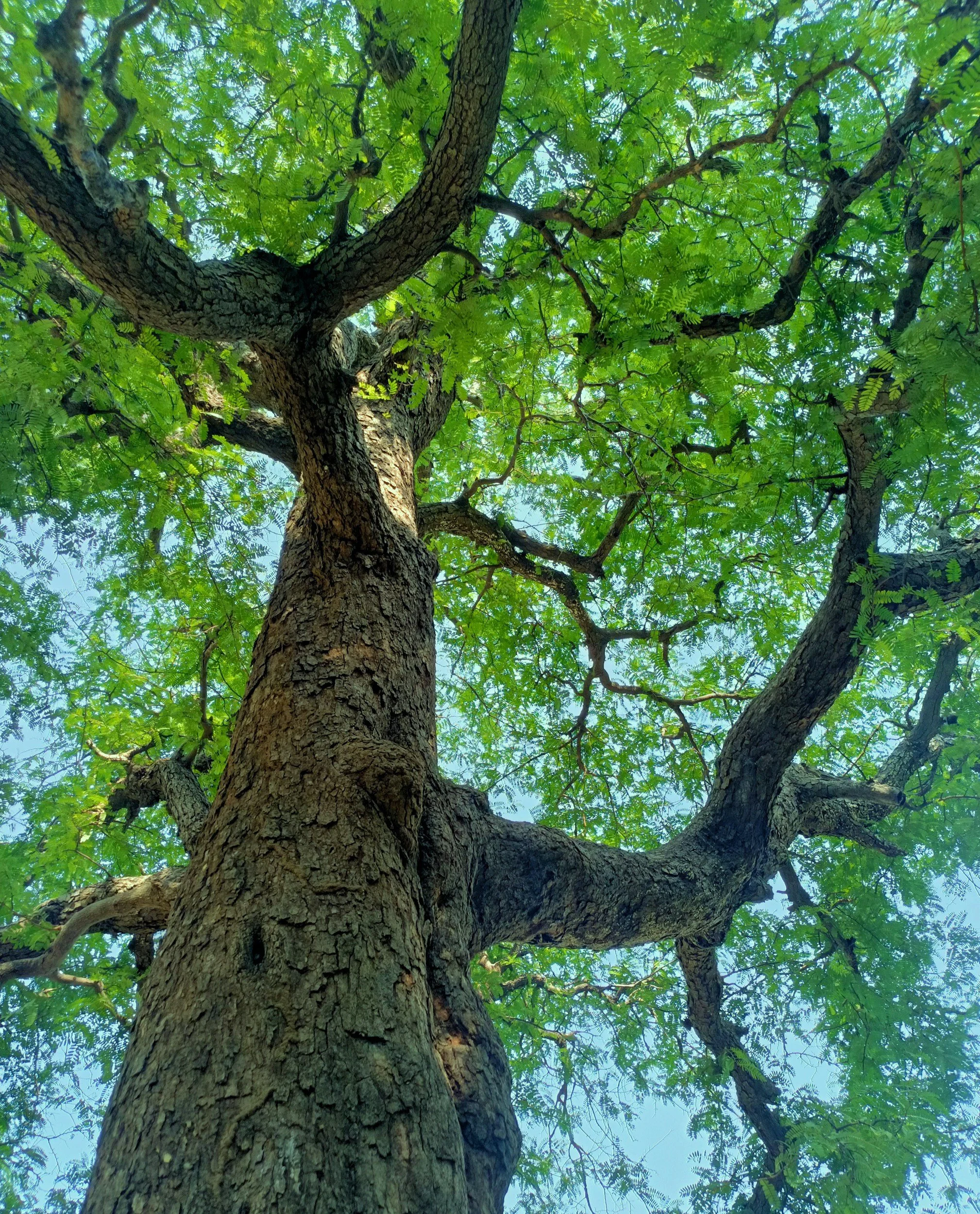 breathwork for people who love making the world a better place and kindness