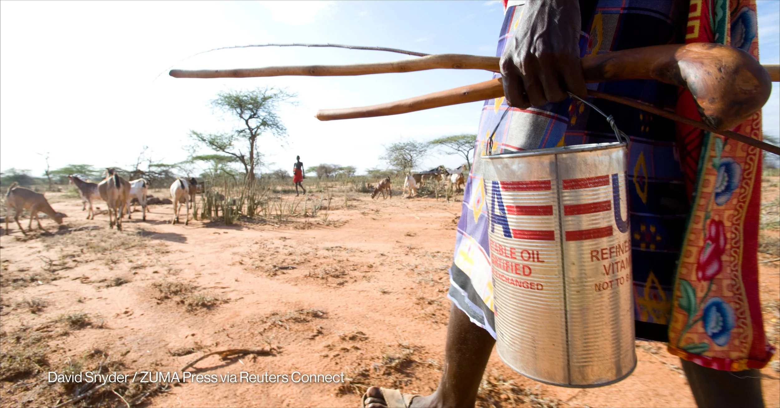 A year without USAID: In Kenya, the shock reaches herders and hospitals