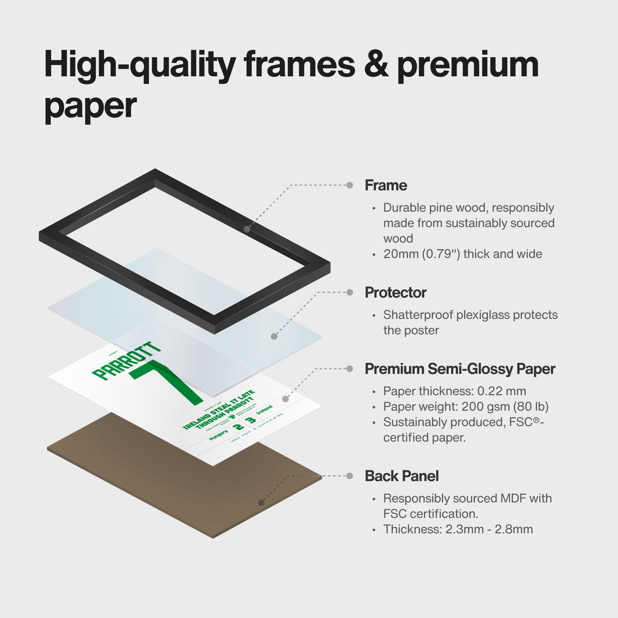 Exploded product view of framed poster of Parrott match kit art