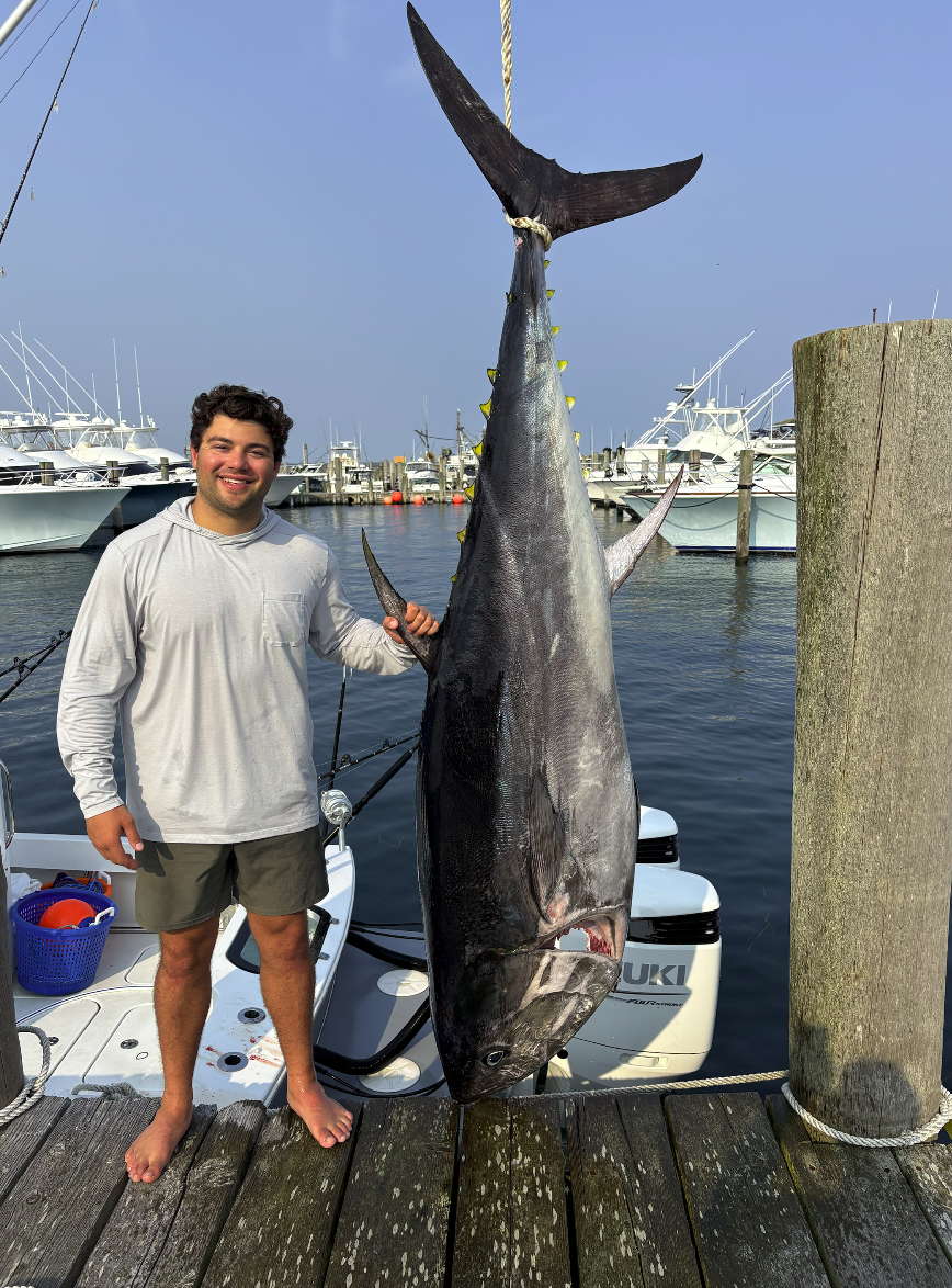 A young man standing on a dock holding a large fish vertically by a rope attached to its tail. The fish is hanging above the water with boats and yachts in the background. The man is smiling and barefoot, wearing a light-colored hoodie and shorts.