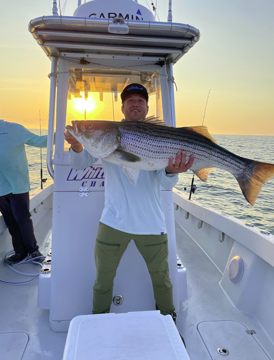 Man holding a large striped bass on a boat during sunset, with water in the background.
