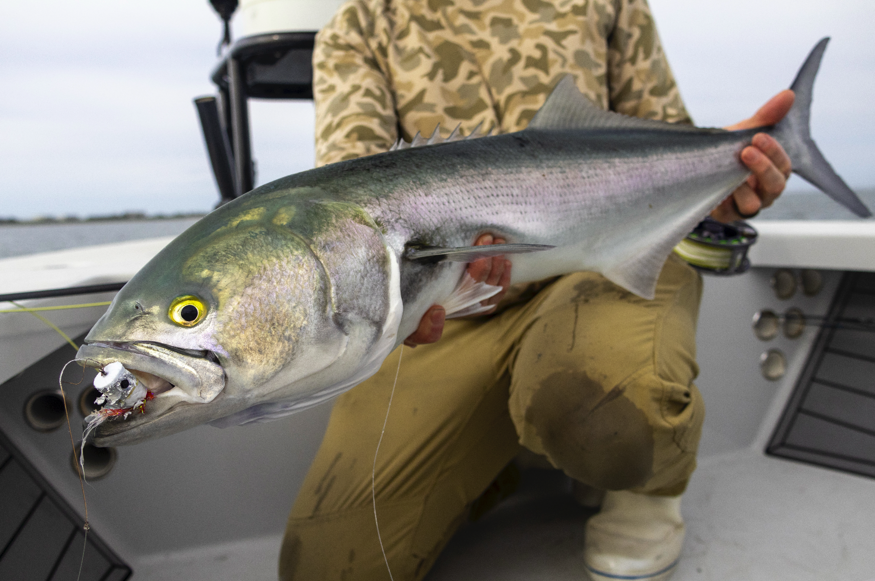 Person holding a large fish on a boat, with water and sky in the background.