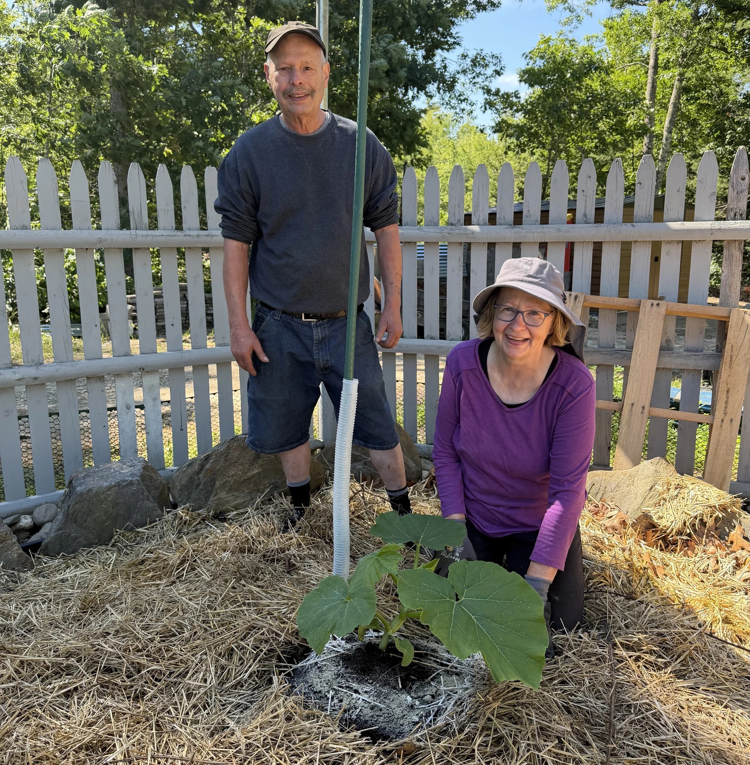 Brenda & Bill with one of their giant pumpkin plants - 6/24/26