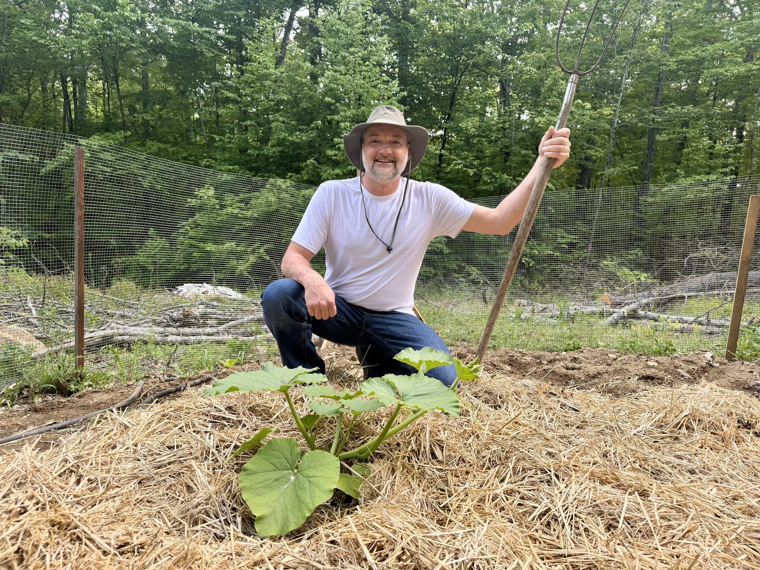 Chris with one of his three giant pumpkin plants - 5/28/26