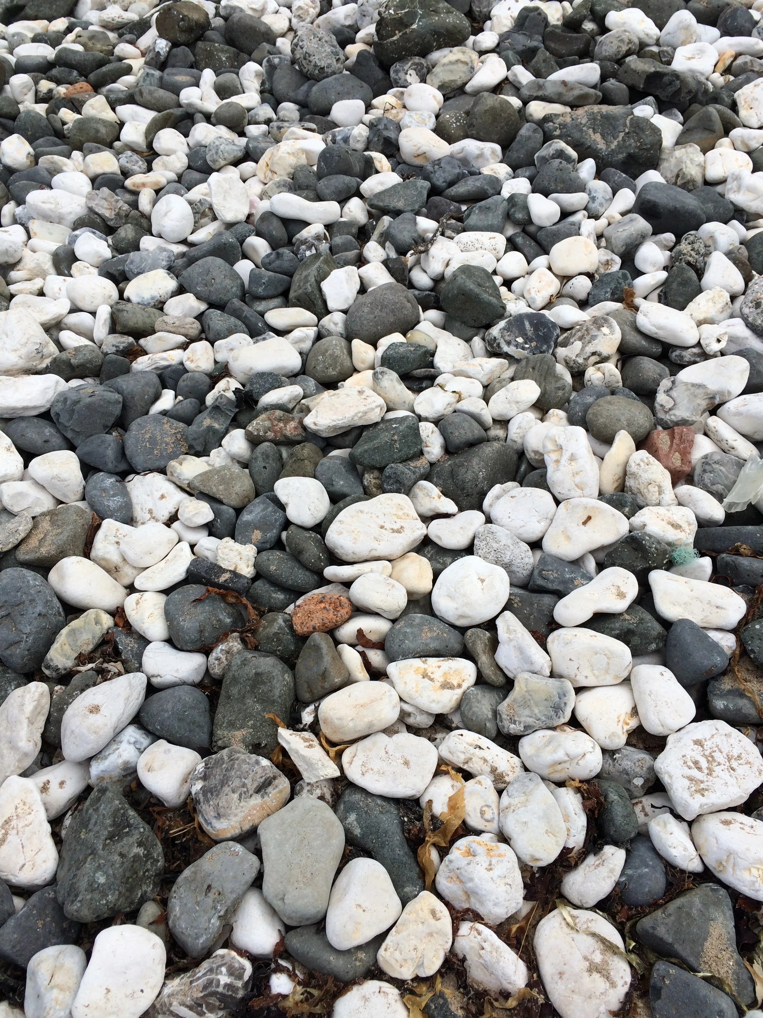 Diverse Pebbles