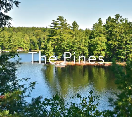 The Pines