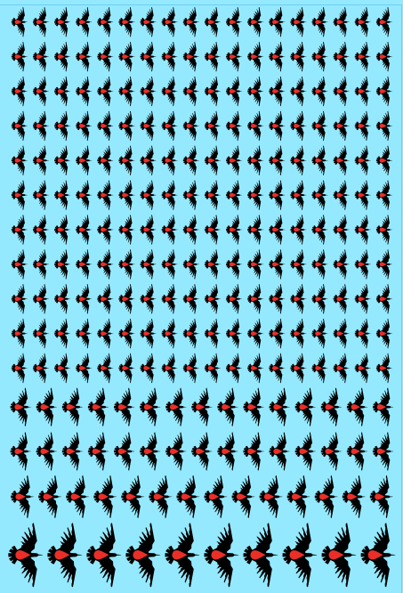 A6 - Blood Ravens Transfer Sheet