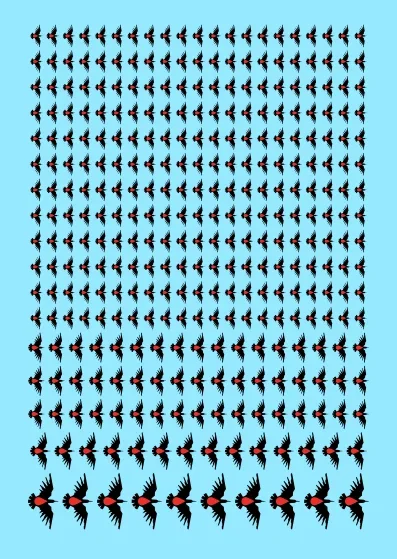 A6 - Blood Ravens Transfer Sheet