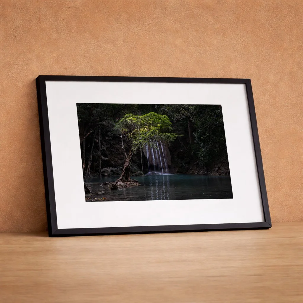 DSCF8747 black frame.jpg