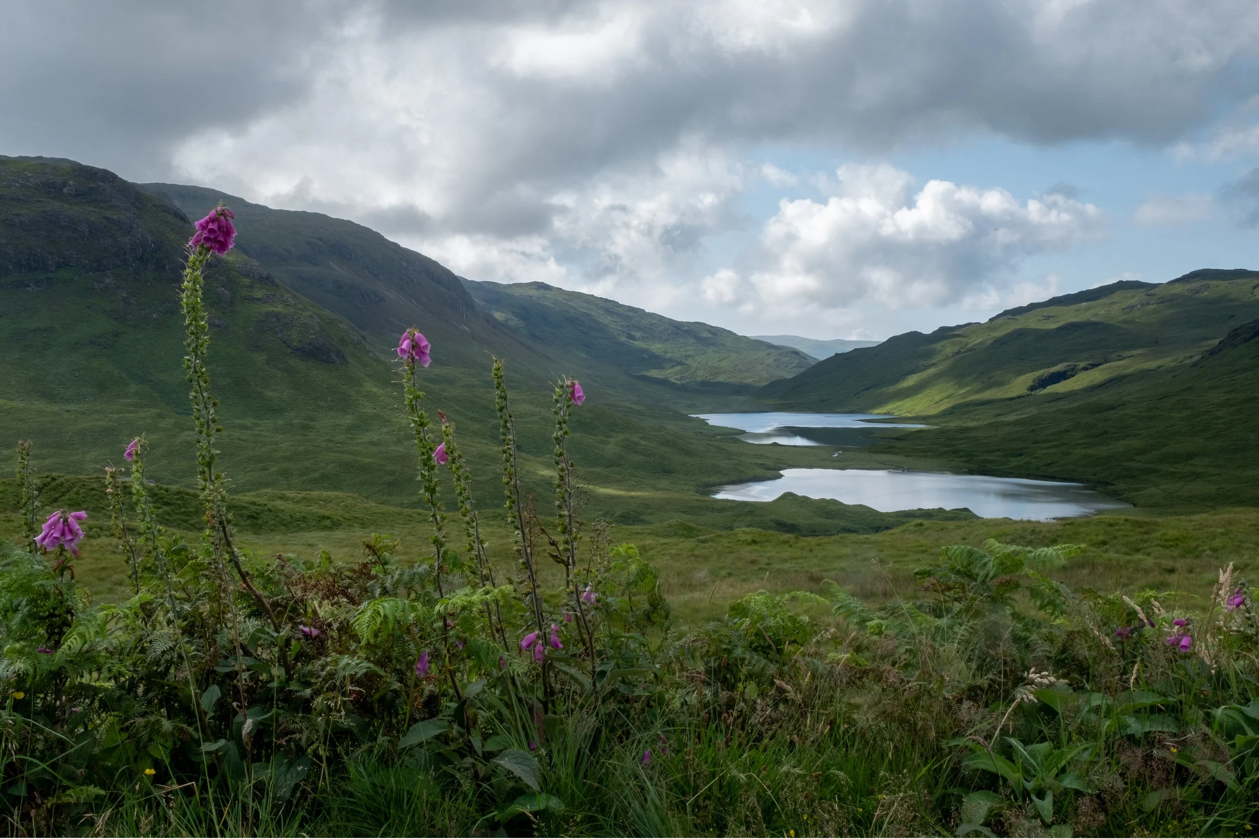 Isle of Mull, Scotland, 2025