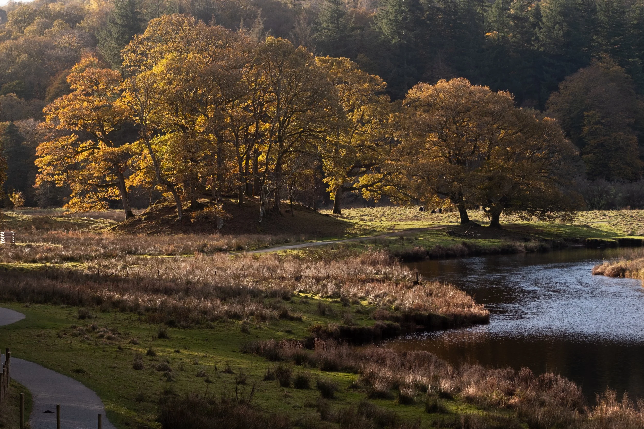 River Brathay, Lake District National Park, 2025
