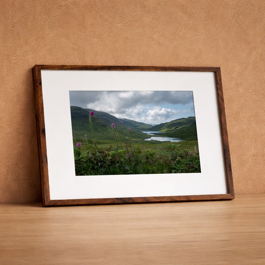 DSCF9252-HDR frame.jpg