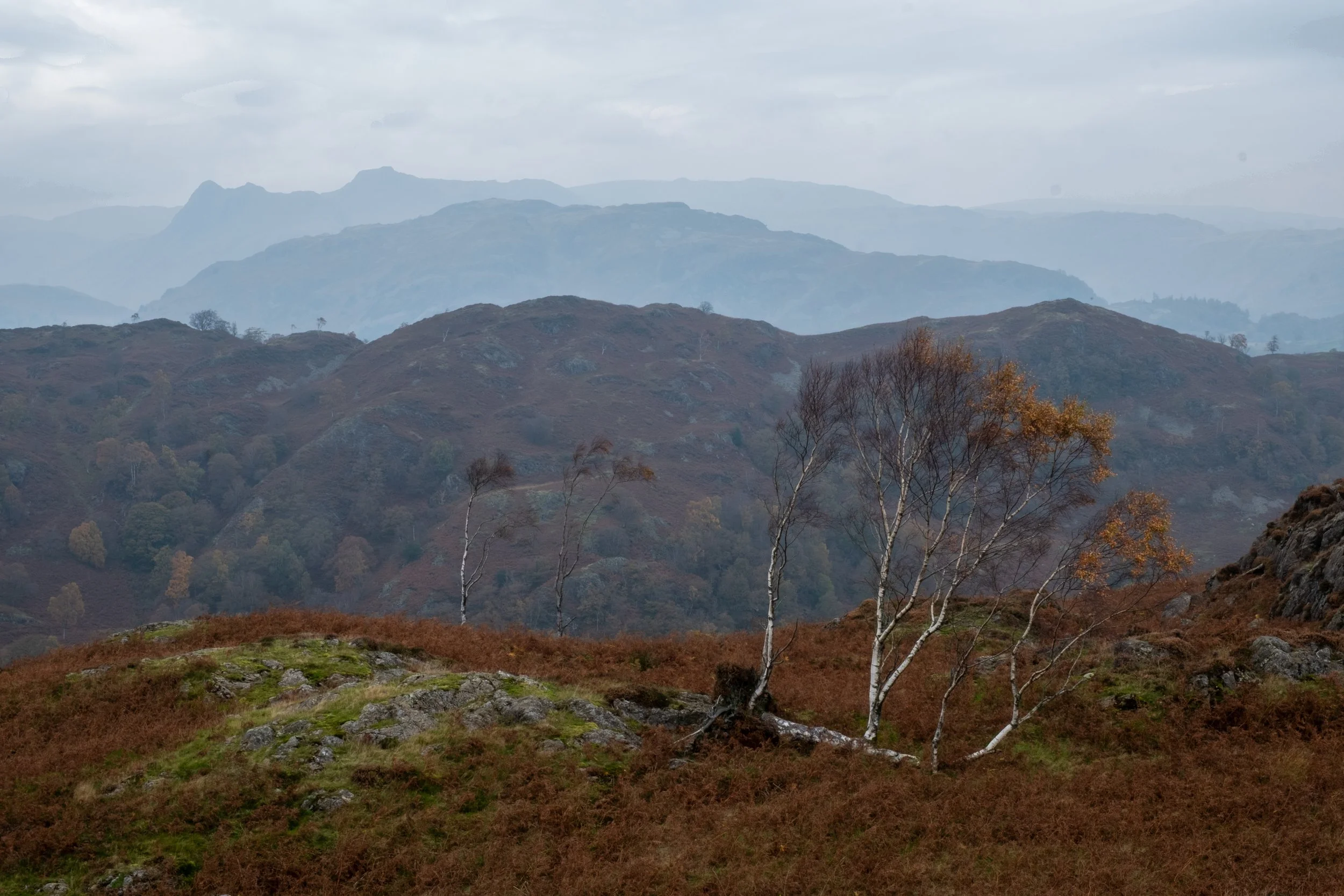 Tom Heights, Lake District National Park, Cumbria, 2025