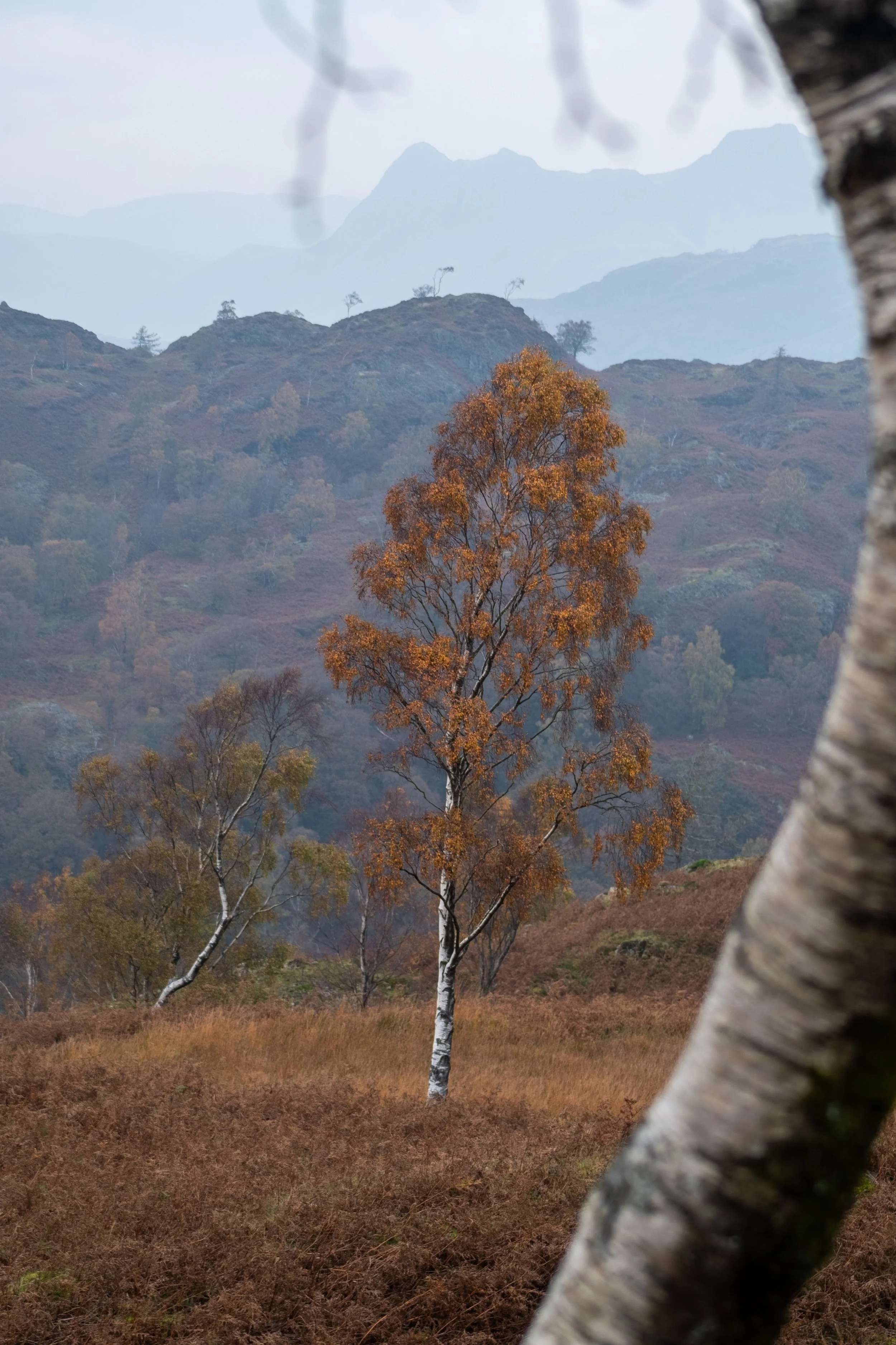 Tom Heights, Lake District National Park, Cumbria, 2025