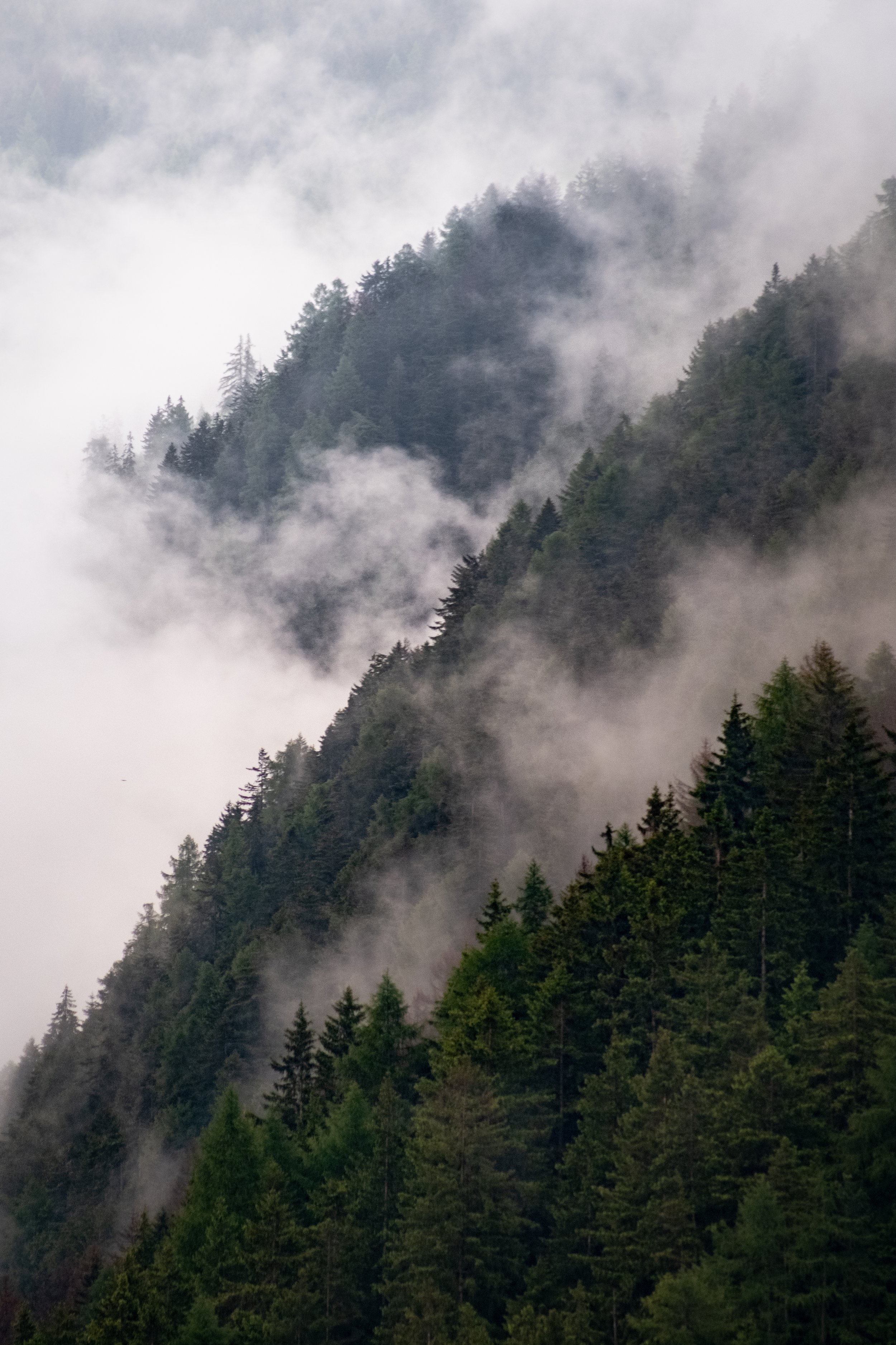 Ortisei, Val Gardena, Dolomites, Italy, 2024