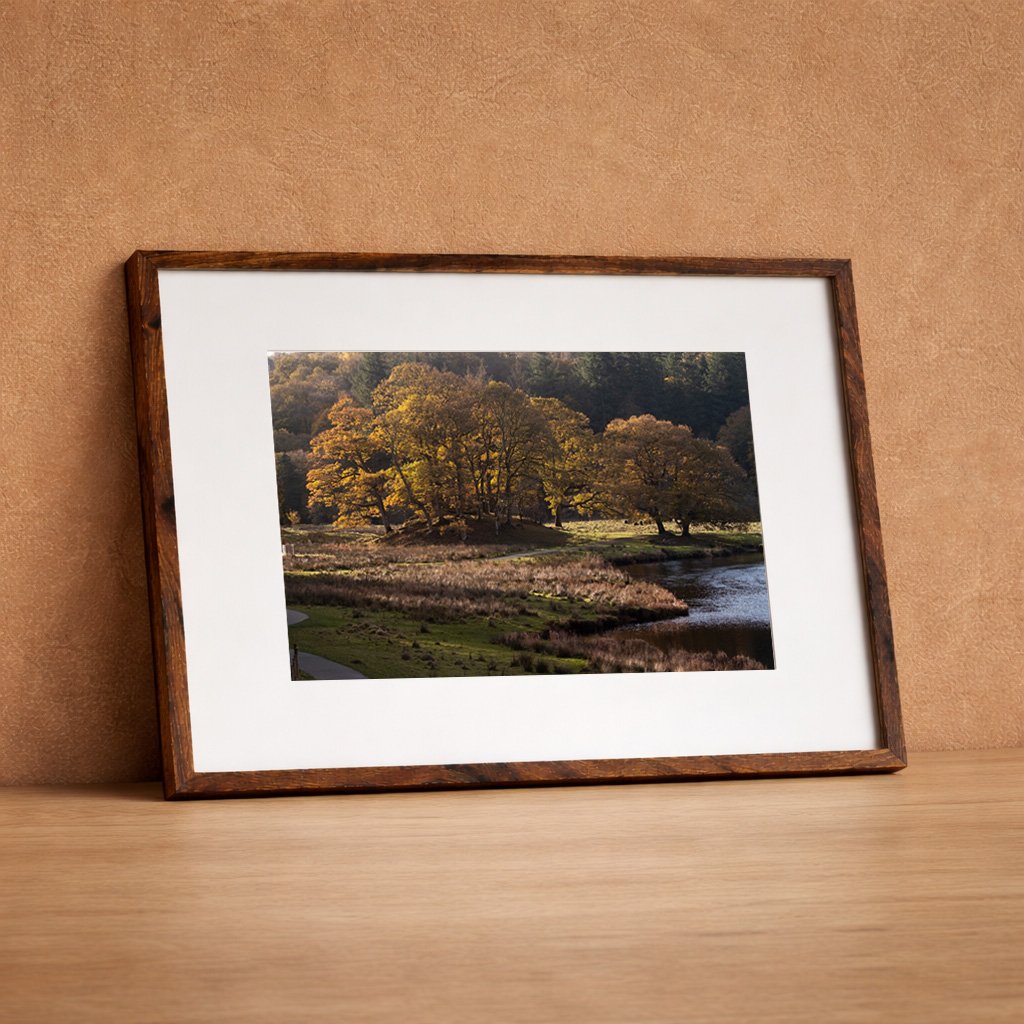 DSCF9741-2 frame.jpg