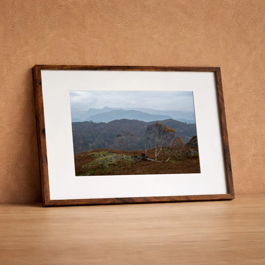 DSCF9602-HDR frame.jpg