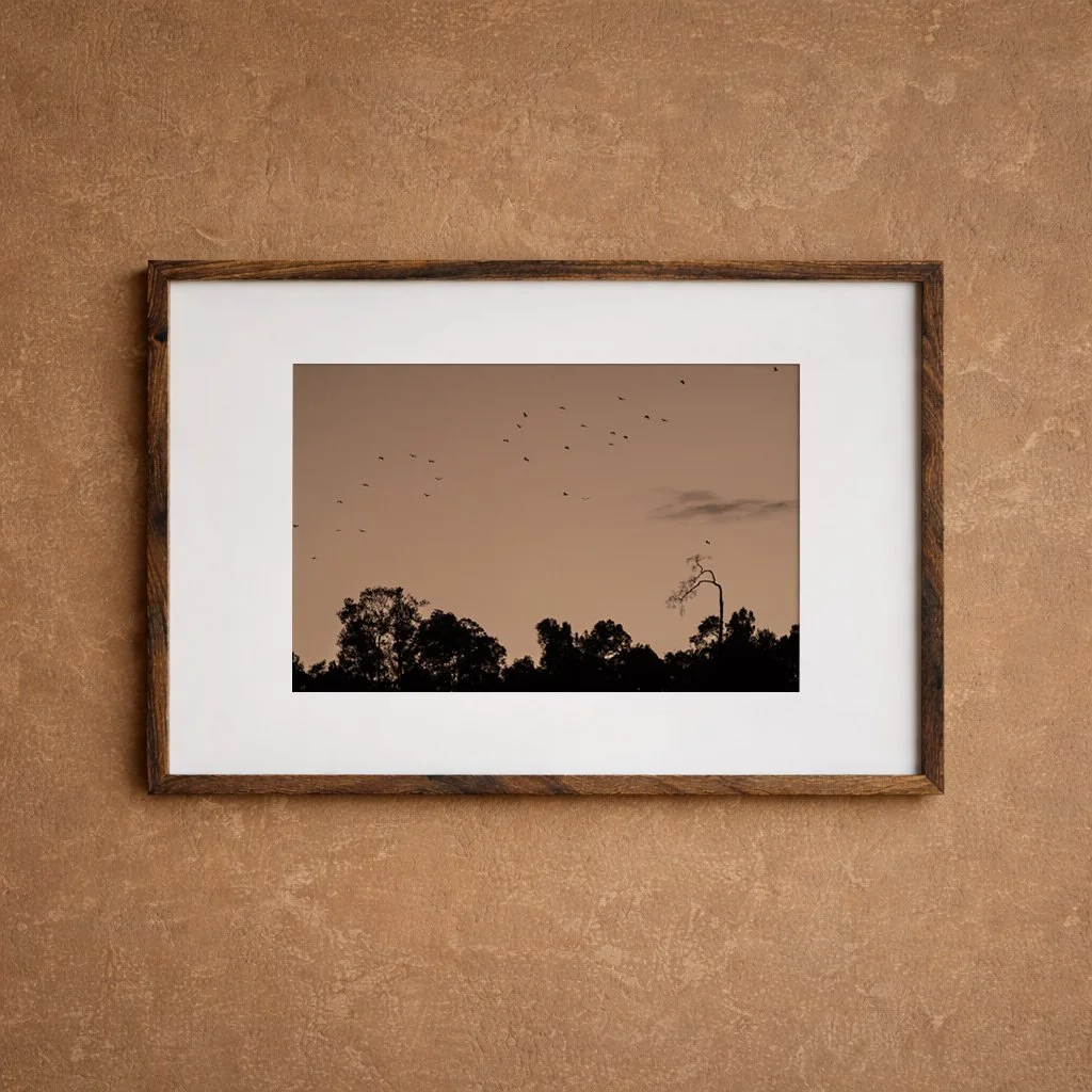 DSCF9030 brown landscape frame.jpg