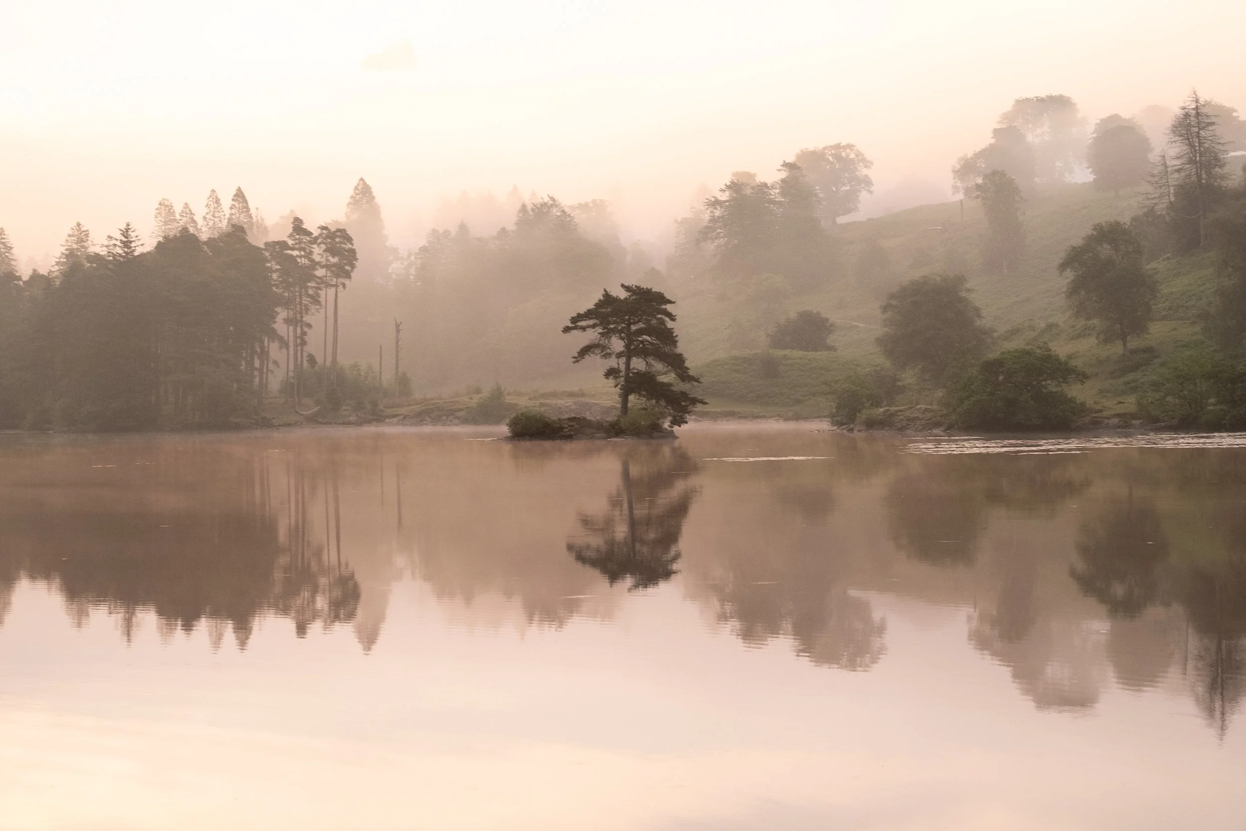 Tarn Hows, Lake District National Park, 2021
