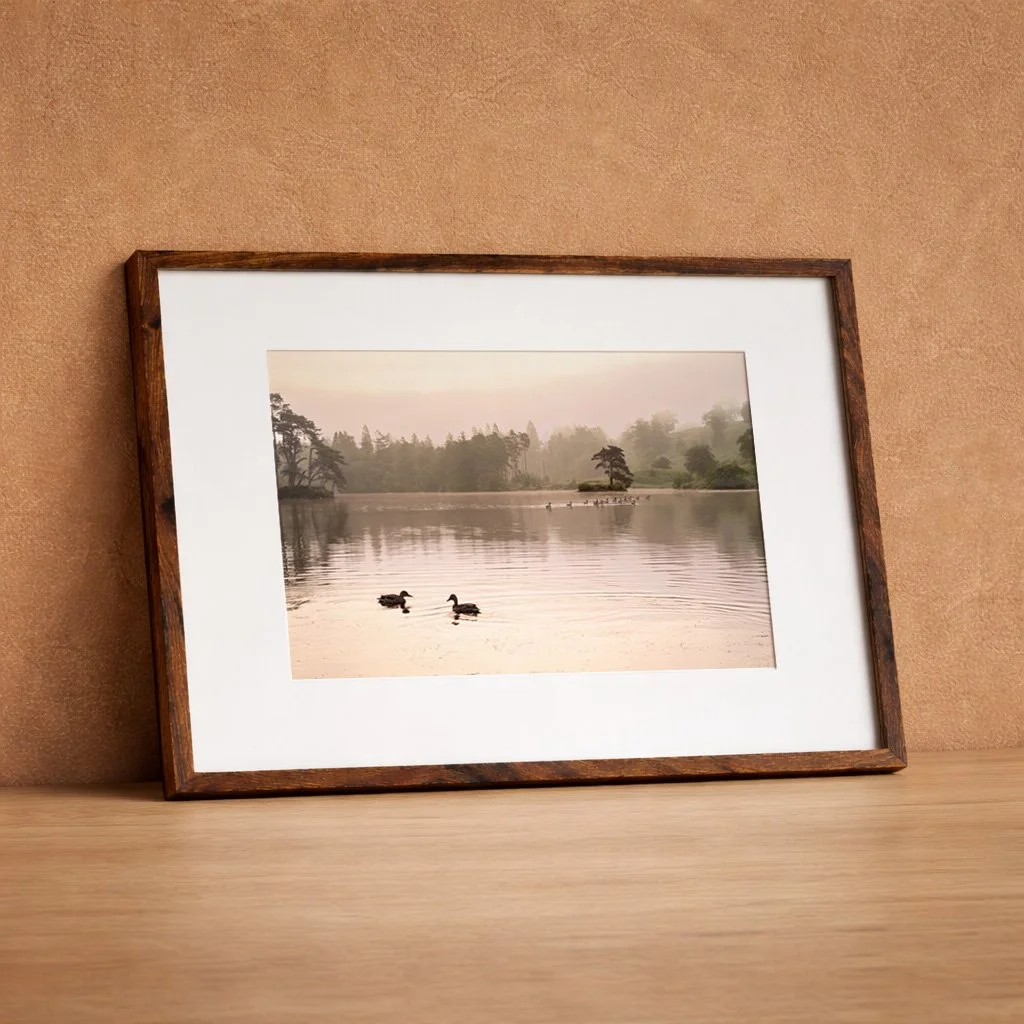 DSCF4727-2 frame.jpg