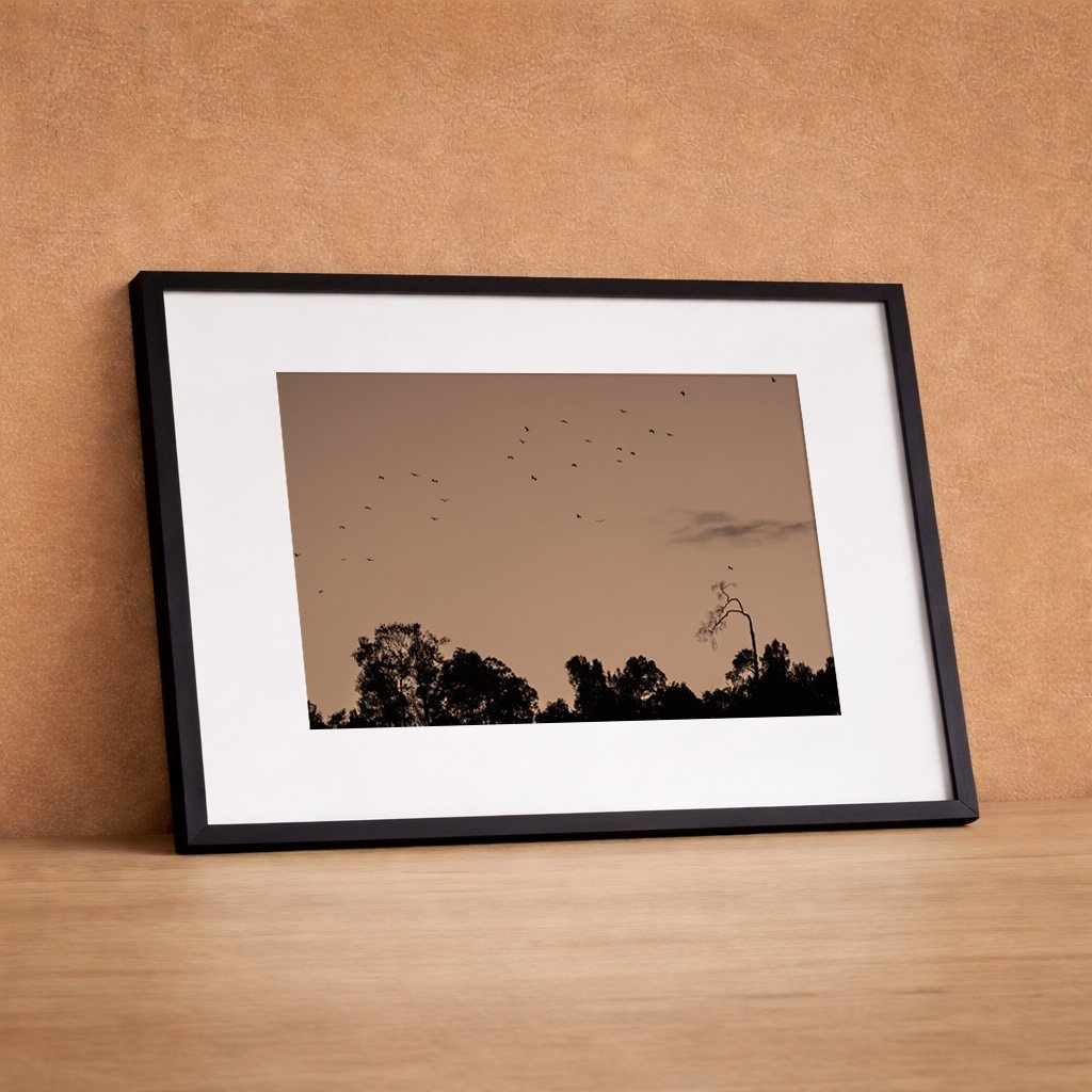 DSCF9030 black land frame.jpg