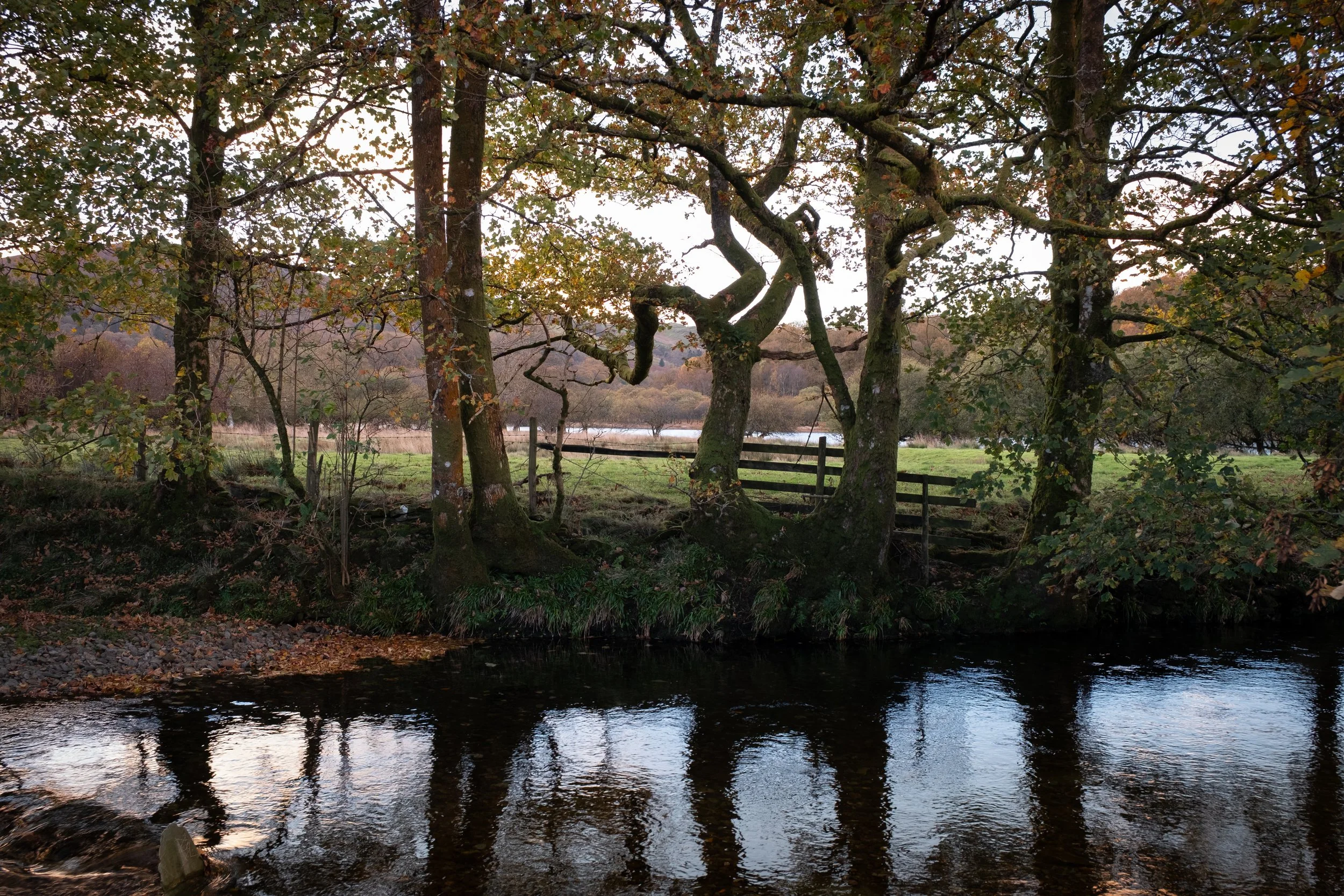 River Brathay, Lake District National Park, 2025